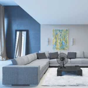 BLACK+DECKER 16-Inch Desk Fan (FD1620-B5)